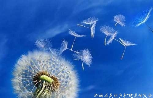 农民朋友们有福了，2019年农业六大政策！