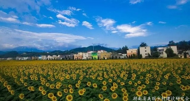 开发农旅项目怎么“拿地”？最全报批流程请收好