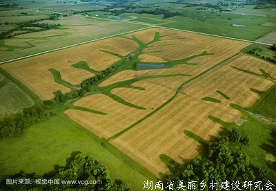 为农业发展插上科技的翅膀