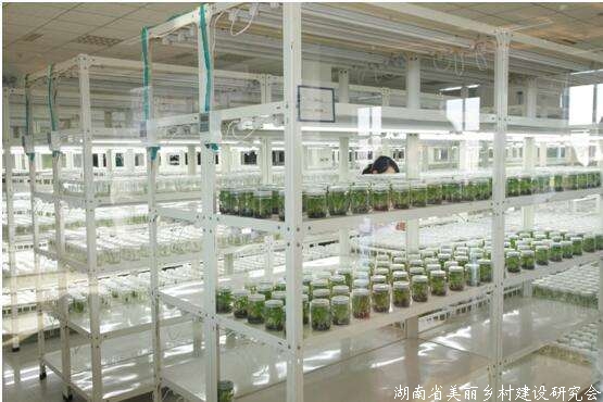 重庆批量建设生鲜农产品产地仓