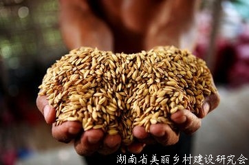国家粮食和物资储备局创新思路举措做好节粮减损工作