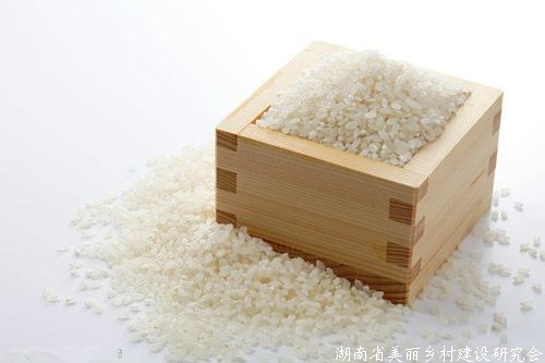 拼多多“沪农优品馆”上线