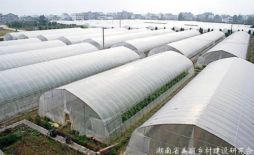 吉林：确保棚膜果蔬正常越冬