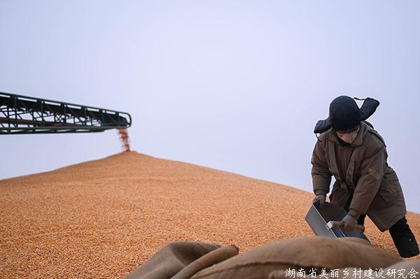我国将大力培养粮食和物资储备人才