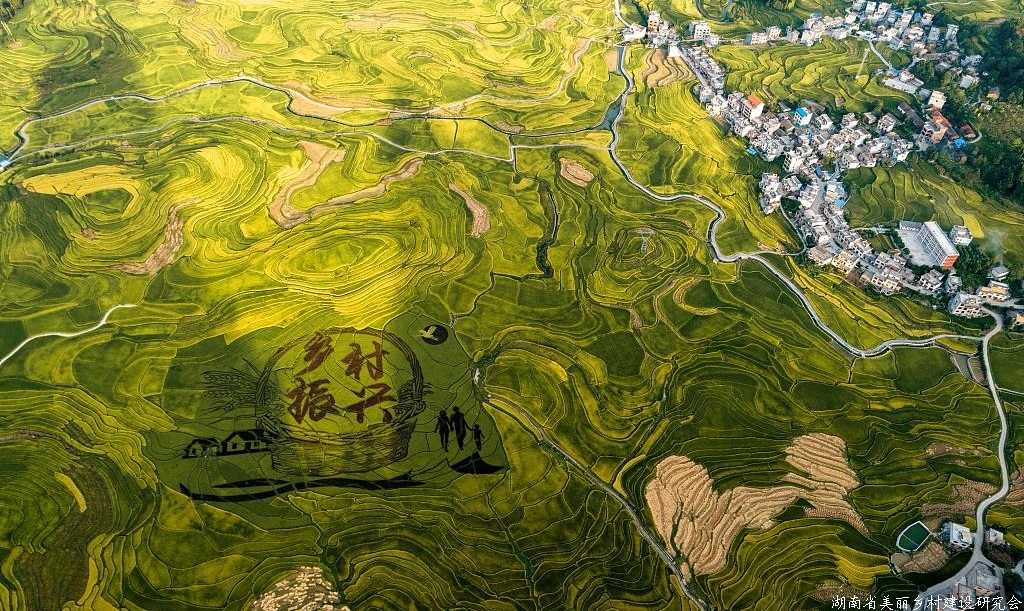 加快推进成果转化 全力支撑乡村振兴 ——中国农业科学院召开脱贫攻坚与成果转化工作会议