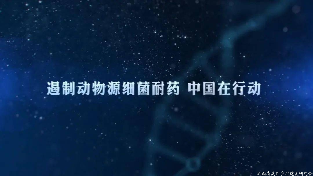 2020年动物源细菌耐药性监测工作总结会在京召开