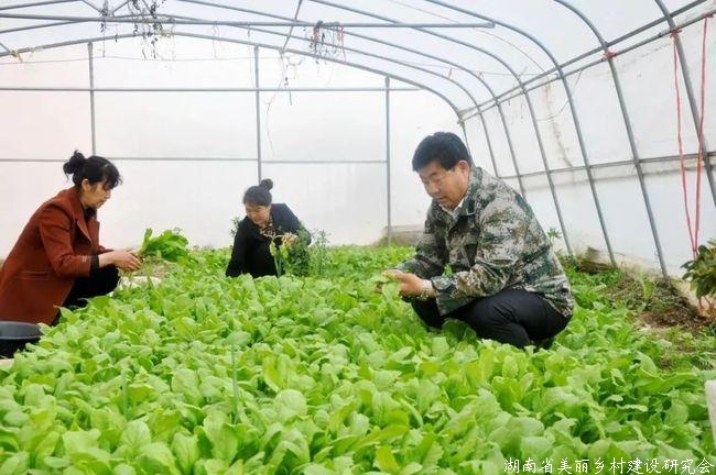 农业农村投资持续增长态势良好