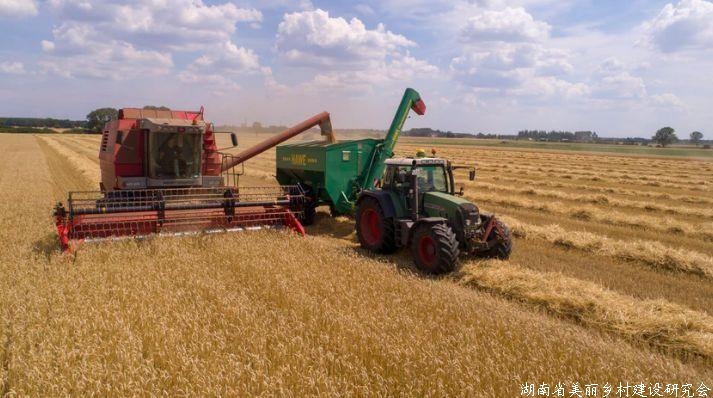 牢牢把住粮食安全主动权 ——习近平总书记在中央农村工作会议上的重要讲话引发热烈反响