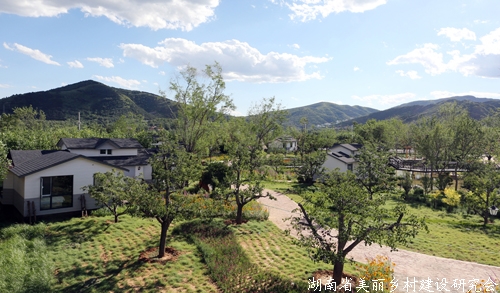“十三五”期间天津市加快现代都市型农业建设 助力乡村振兴