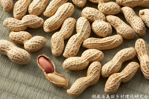 郑商所就花生期货合约和规则制度公开征求意见建议
