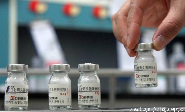 2020年动物源细菌耐药性监测工作总结会在京召开