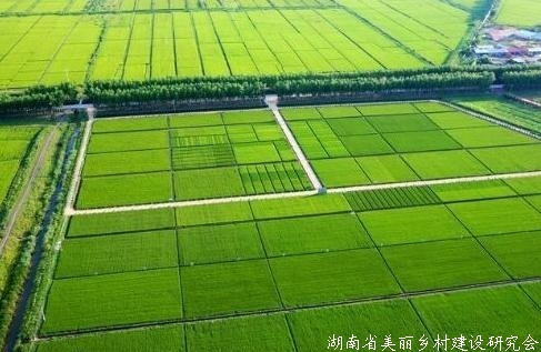 山东全面推行耕地保护“田长制”