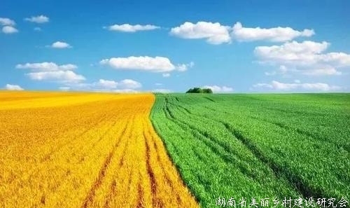 全面塑造参与农业国际合作竞争新优势