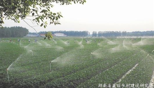 湖北省将组建农垦集团