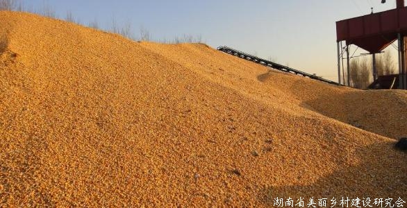 2020年全国工业饲料总产量25276万吨 年产百万吨以上规模饲料企业集团33家
