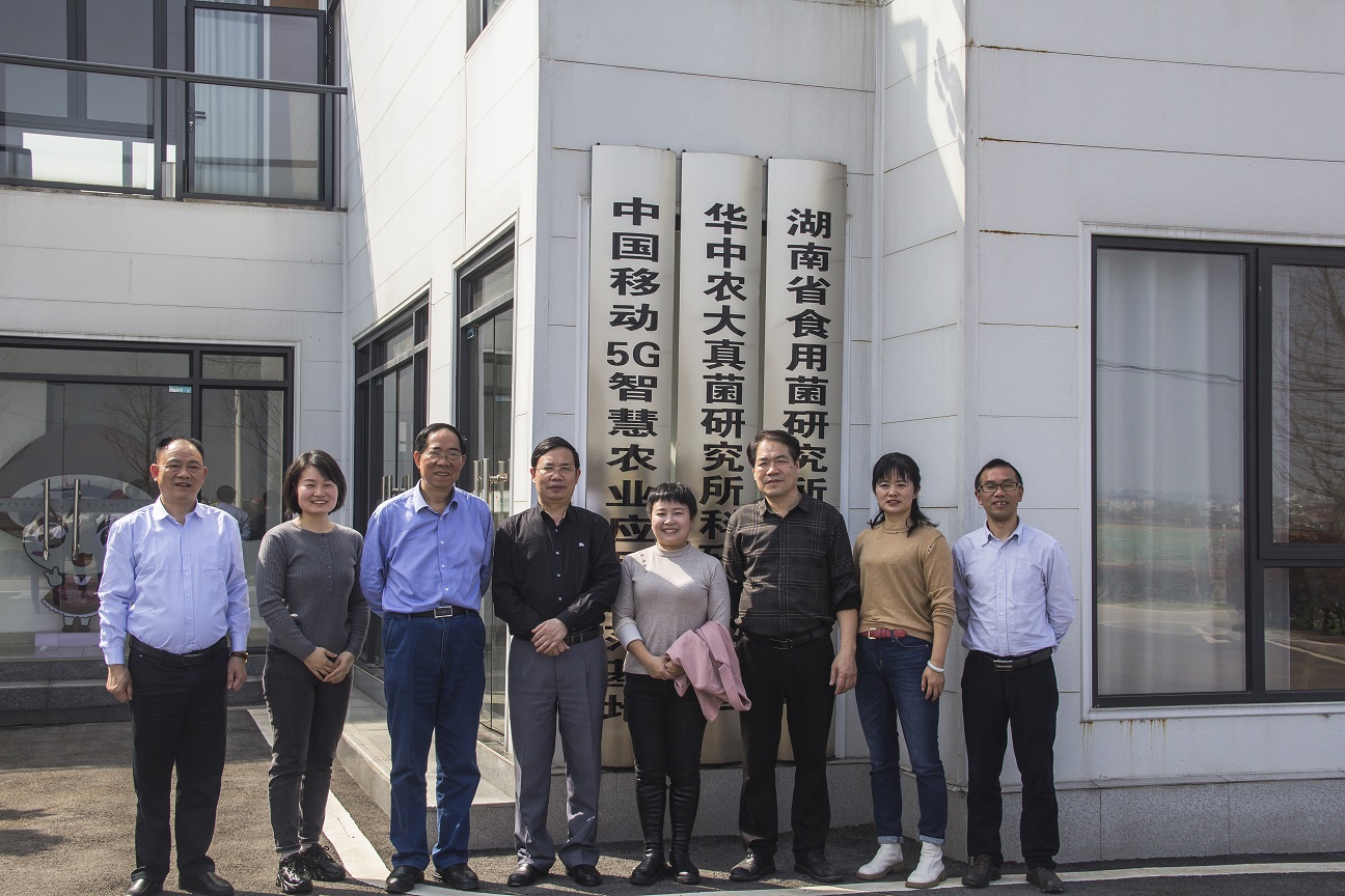 省美丽乡村建设研究会专家教授一行赴湘潭市雨湖区调研考察农业、企业、美丽乡村建设情况