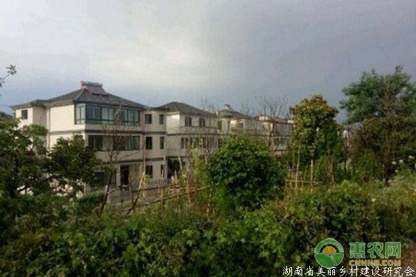 农村宅基地以后会越来越值钱，这三个现象就可以看出！