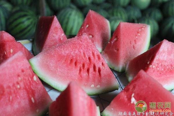 西瓜最新价格