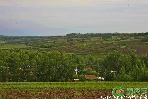 农业农村部：研究制定全国统一的土地流转合同文本