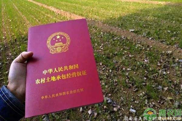 开垦的荒地确权条件
