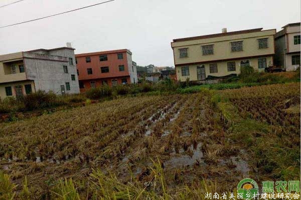 农田建房会罚款吗?如何才能在农田建房?新土管法政策视角解读
