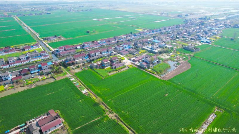 湖南省美丽乡村建设研究会宣传片