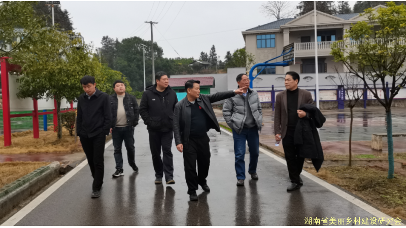 ‌湖南省美丽乡村建设研究会赴怀化市辰溪县火马冲镇大桥村调研