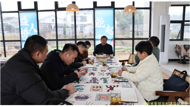 湖南省美丽乡村建设研究会专家团队赴望城调研
