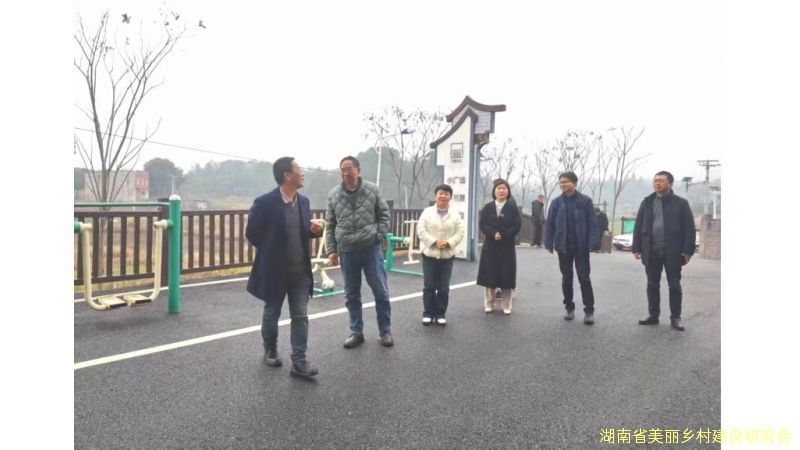 ‌湖南省美丽乡村建设研究会调研组深入石峰区调研