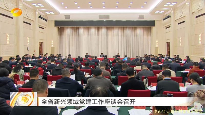 着力增强党在新兴领域的号召力凝聚力影响力 全省新兴领域党建工作座谈会召开