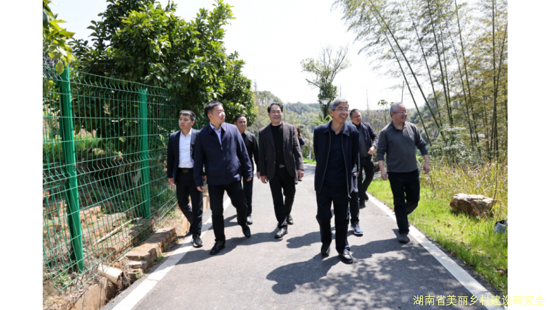 助力乡村振兴，共绘农旅融合新蓝图