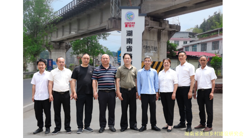 湖南省美丽乡村建设研究会点赞炎陵两村，共绘乡村振兴蓝图