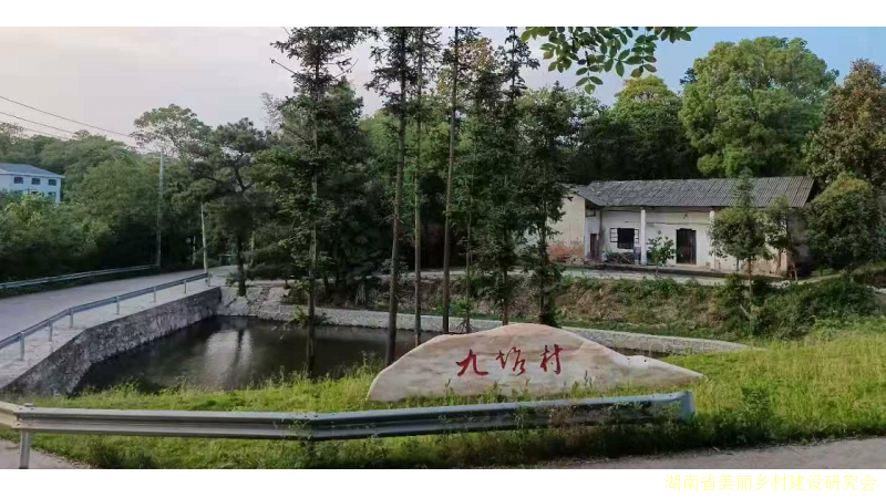 九塘村里绽开“五朵金花”