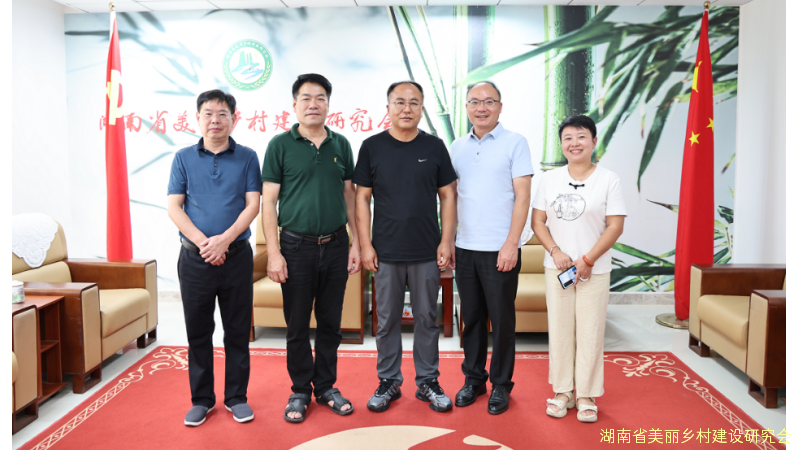 共话乡村   振兴未来
