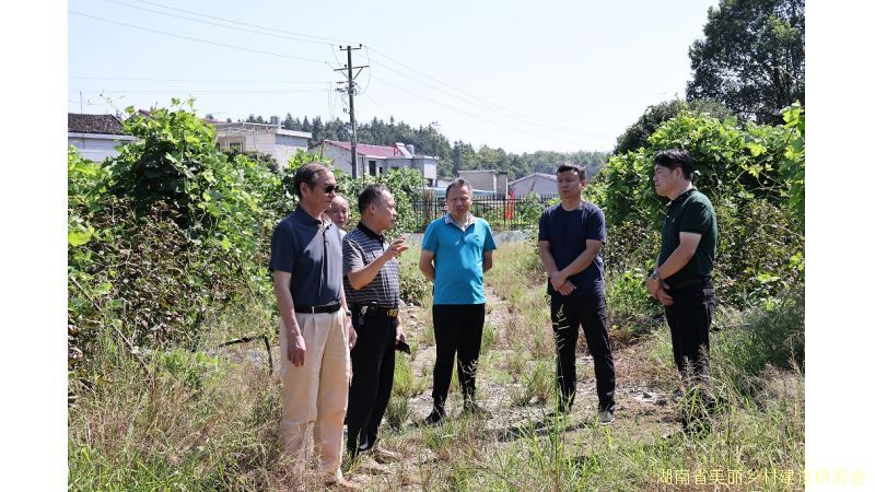 湖南省开展美丽乡村葛根产业调研活动