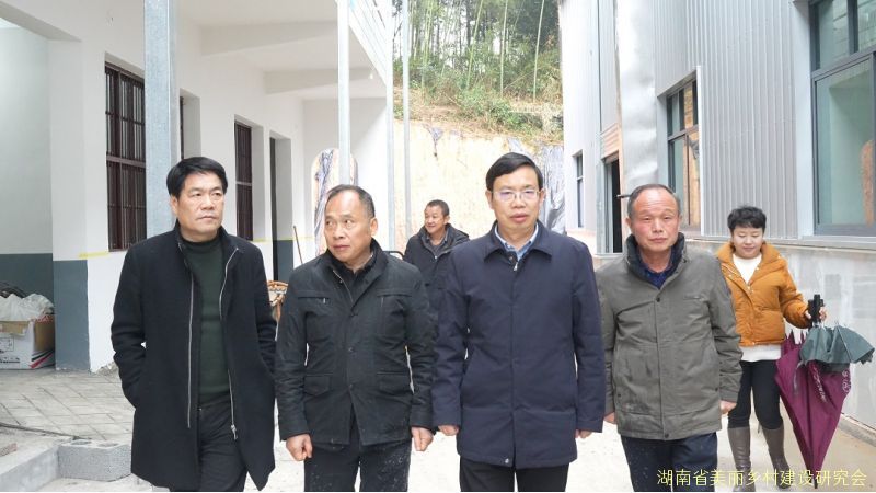 研究会专家组一行赴桃江，助推葛根产业高质量发展