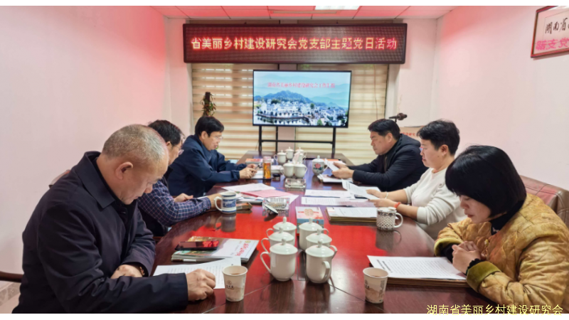湖南省美丽乡村建设研究会开展主题党日活动 