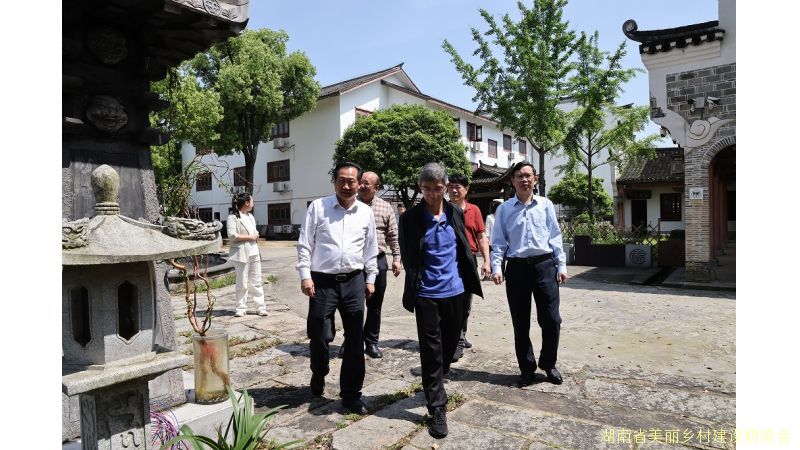 守护乡村文化根脉 共探古建活化新路