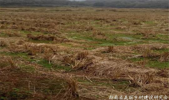 土地管理法修正草案二审：明确农用地不再“必须国有”！