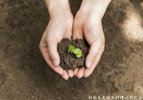 “三块地”改革提速 农地入市规则有望明确