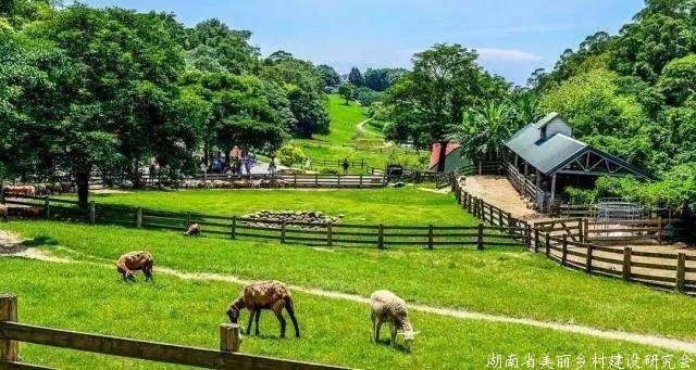 休闲农业、乡村旅游吃下政策“定心丸