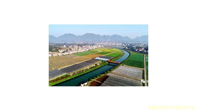 中共湖南省委 湖南省人民政府 关于锚定建设农业强省目标扎实做好2023年全面推进乡村振兴重点工作的意见