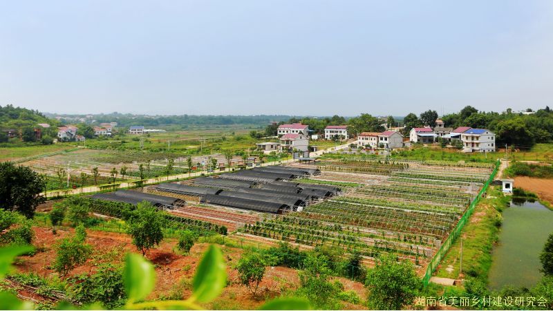 珠晖区茶山坳镇堰头村