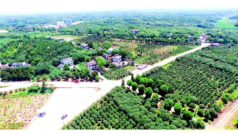 云龙示范区龙头铺街道蛟龙村