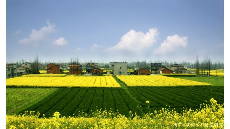 湖南省美丽乡村示范村-益阳篇