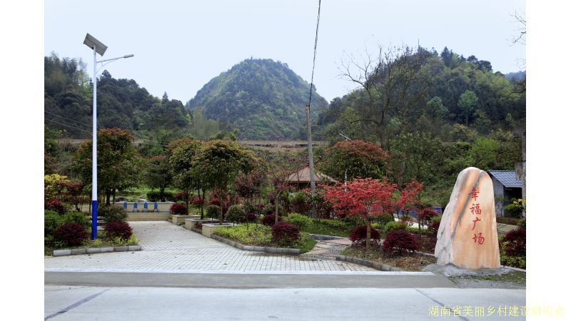 洪江市黔城镇板桥村