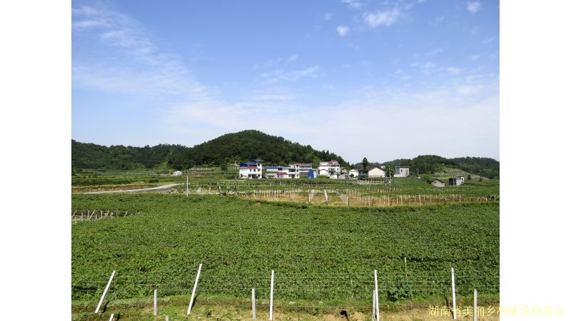 凤凰县新场镇大坡村