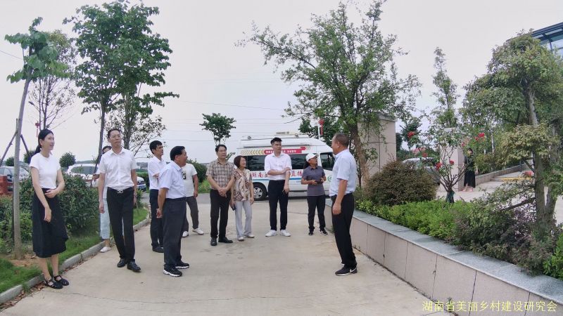 走进汨罗市桃林寺镇三新村