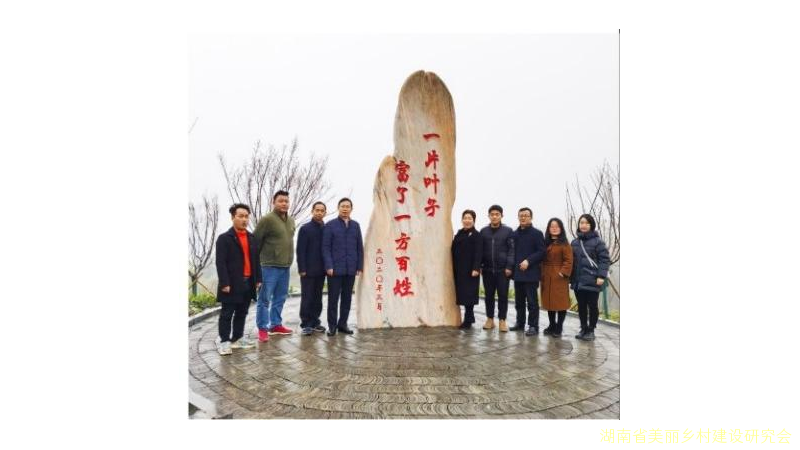 “湖南省美丽乡村示范村”管护情况调研报告