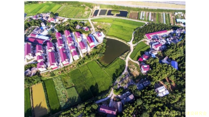 打造驻村帮扶“株洲模式” 三级联动共建美丽乡村